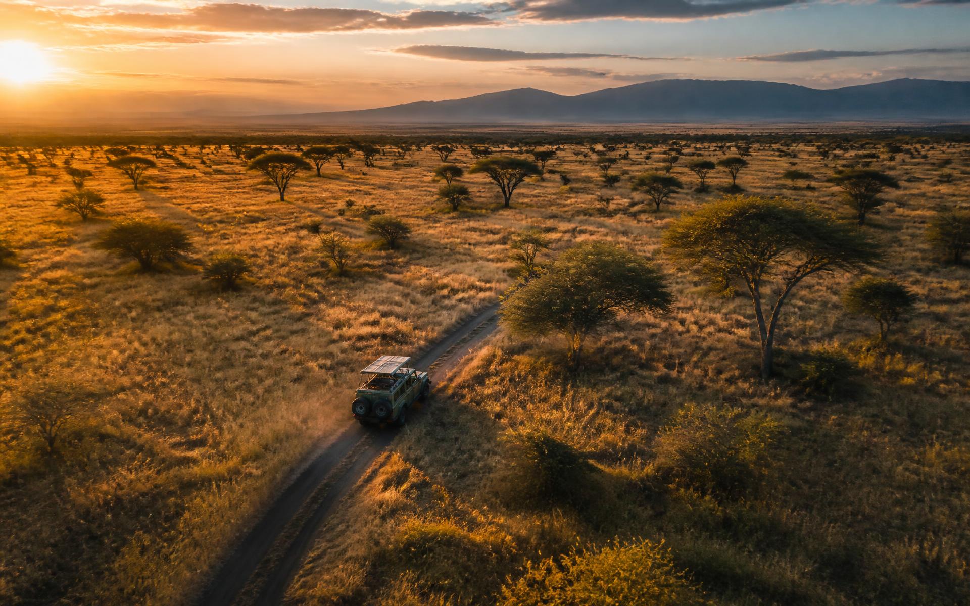 Safari vehicle crossing the Southern African savannah at golden hour